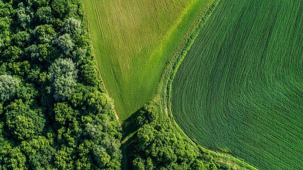 Prix terrain non constructible : les vrais chiffres 2026