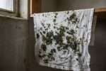 Comment enlever des taches de moisissures sur un tissu ?